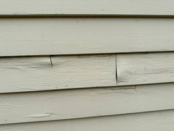 Best Shed Removal  in Franklinton, LA
